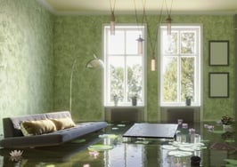 Sellers say Compass agent flooded their home, then ghosted them