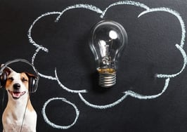 Shortcuts to success: Listen and learn from these 5 people