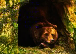 DelPrete: The real estate disruptors are still in hibernation