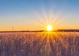 DelPrete: A new generation of brokerages is on the rise