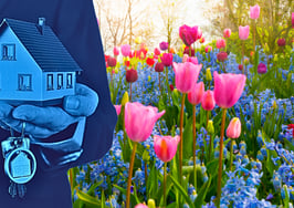 Top 11 marketing strategies that'll help you spring into action
