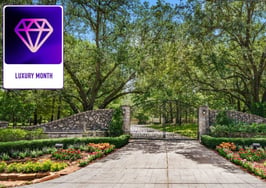 Nan & Co launches auction division with FasciaBlaster mansion