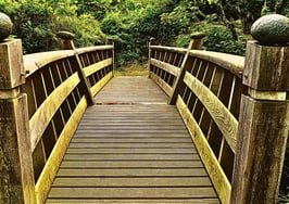 10 ways to embrace change and thrive in the 2nd half of 2024