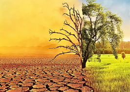 The rules are changing. Here's how to stay afloat in the days ahead