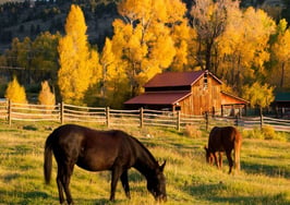 Aspen Valley Ranch, Colorado property sold in pieces for $47M
