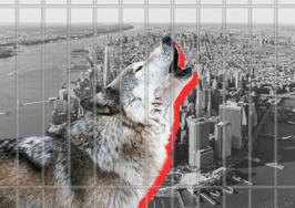 Next booking for 'Wolf of Airbnb’ grifter Konrad Bicher? Prison 
