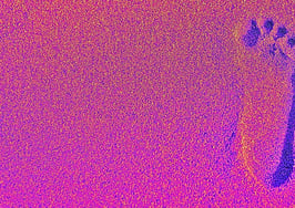 Can Kevin Sears put NAR back on a firm footing? The Download