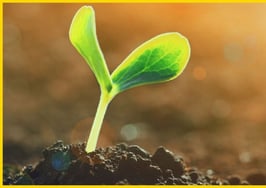 Today marks the dawn of a new day for real estate. Make the most of it