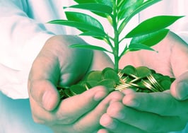 Money grows where trust flows: How to choose the right advisors