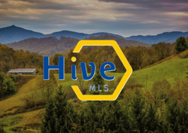 What's the buzz? North Carolina Regional MLS rebrands as Hive MLS