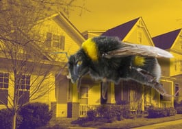 10 ways to create marketing buzz for your real estate brand