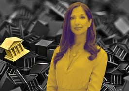 Coldwell Banker Realty CEO Kamini Lane: How big is your 'trust fund?'