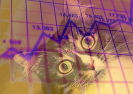 Surprises, setbacks and shifts: Q3 2024 earnings