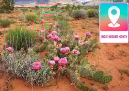 9 strategies for indie brokers to keep real estate agents thriving