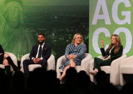 'Decide what is authentic,' then build a brand, experts say