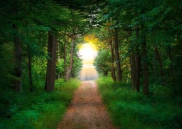 4 long-term benefits of ethical real estate leadership