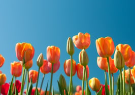 EXp CEO 'cautiously optimistic' as spring homebuying season nears