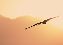 6 new startups taken under the wings of Equity Angels