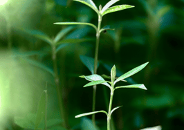 Agents' iron commission grip slips slowly in spring: Intel Index survey