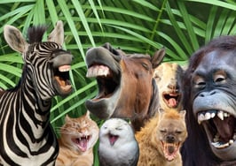 Funny business: Why humor is the unsung hero of real estate survival