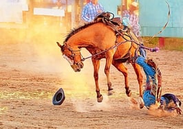 7 ways to get back up again when this market knocks you down