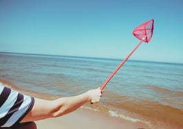 A person with butterfly net to symbolize capturing clients and how to master the close.