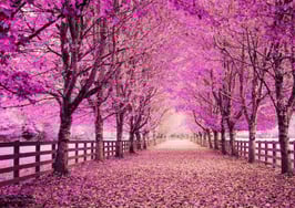 Is fall the new spring? Market winds may be shifting, NAR says