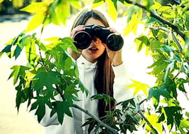 spy on your real estate competitors