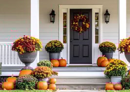 attitude of gratitude