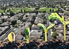 helping investor clients scale