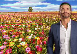 spring real estate market