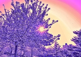 spring real estate market