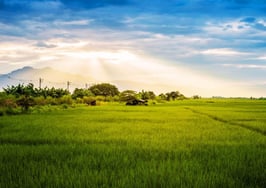 Realtor.com launches land price estimates as market lags