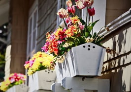 This spring is bringing more buyers but fewer bidding wars: Redfin