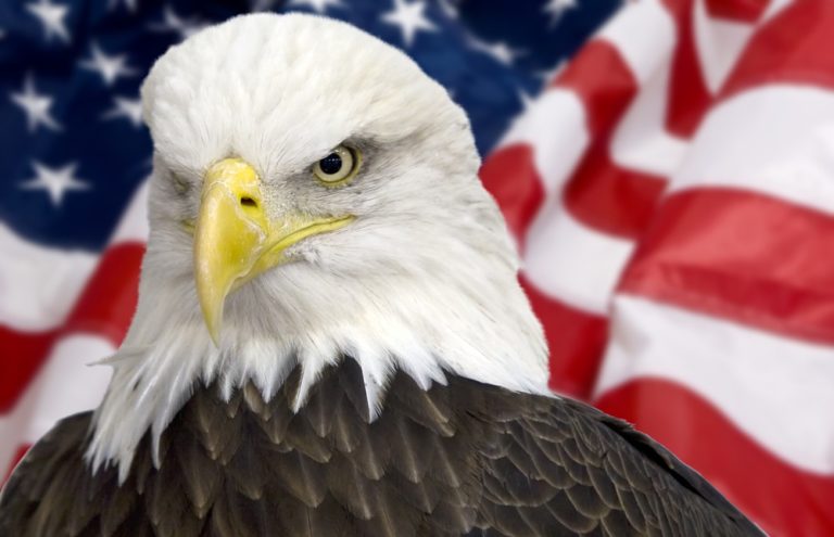 IRS keeping an eagle eye on payments to independent contractors