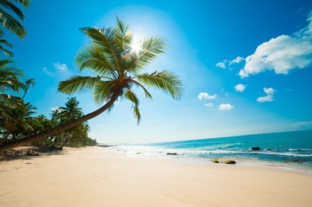Newly formed South Florida Realtor trade group launches BeachesMLS