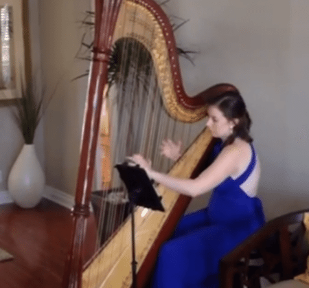 Harpist open houses vs. 'bucket list parties'