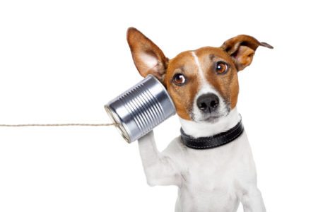 With Facebook, phone calls and Twitter, miscommunication with real estate clients is easy but can be avoided