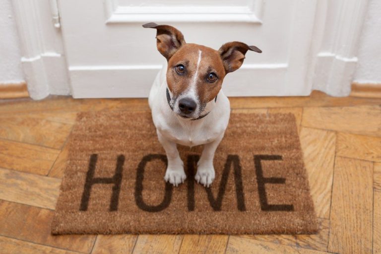 Branding, buyers and bad photos: 3 more reasons open houses excel at selling real estate