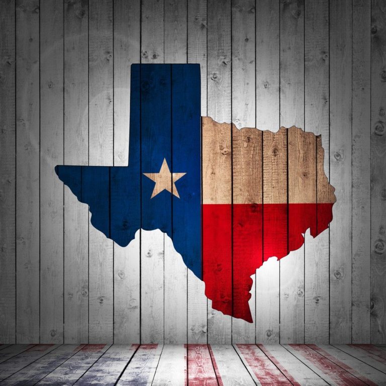 Houston Realtors demo real estate search portal that covers all of Texas