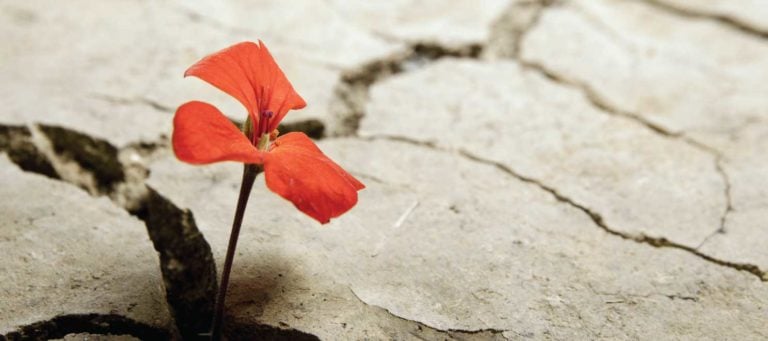 Are you thriving or suffering due to third-party websites?