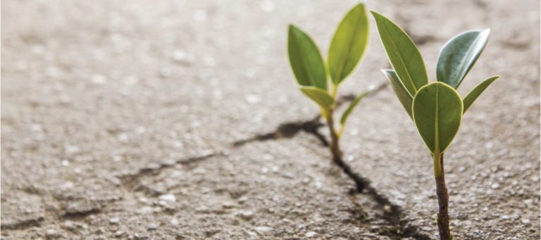 How brokerages can use technology to disrupt property management