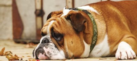 9 tips for overcoming complacency in real estate sales