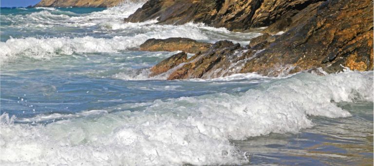 Rising tide but no tidal wave of new .realtor agent websites
