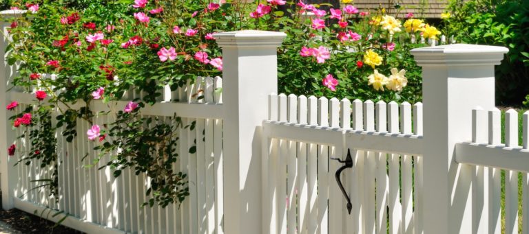 Lenders forecast rosy spring for mortgages