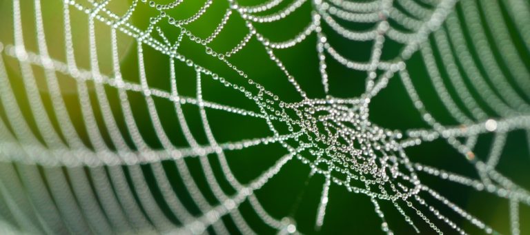 4 network-building tips that fuel business growth