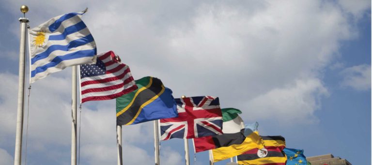 Success stories in global networking