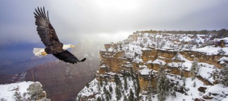3 ways to fix the negative perception of Realtors