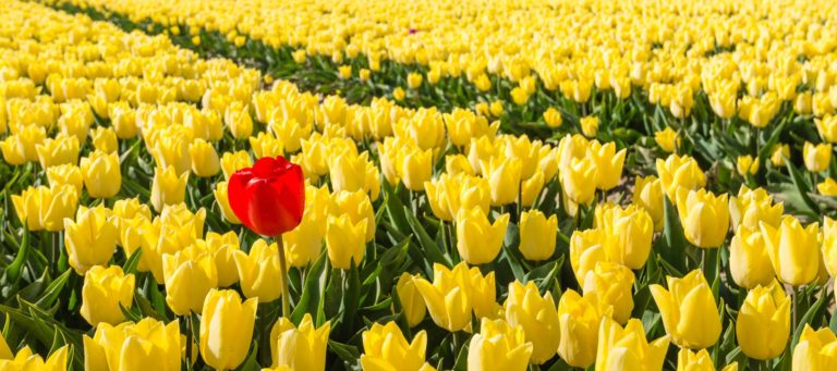 How to build a brand clients will remember