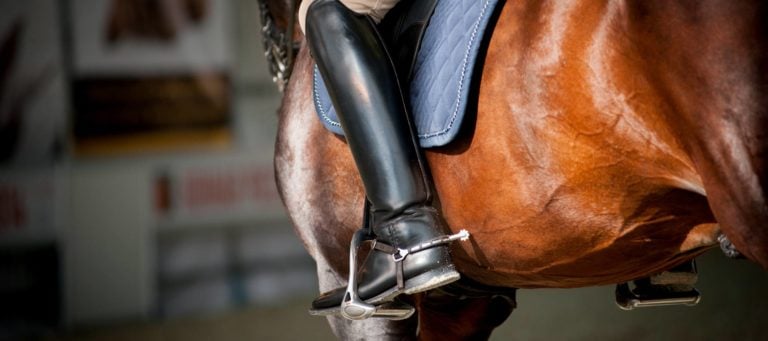 Opinion: How using basic software is like riding a horse